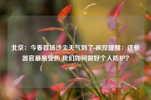 北京：今春首场沙尘天气到了 疾控提醒：这些器官最易受伤 我们如何做好个人防护？