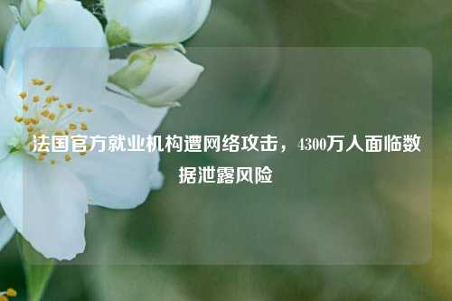 法国官方就业机构遭网络攻击，4300万人面临数据泄露风险