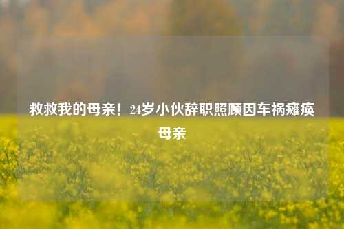 救救我的母亲！24岁小伙辞职照顾因车祸瘫痪母亲