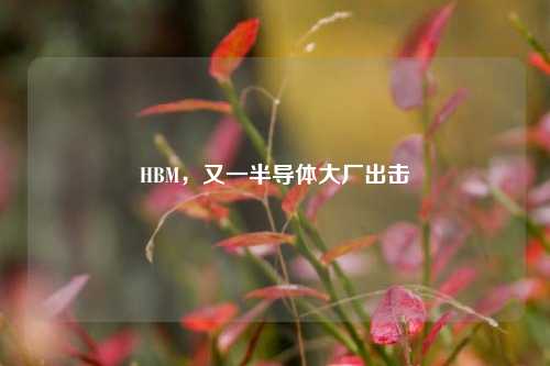 HBM，又一半导体大厂出击