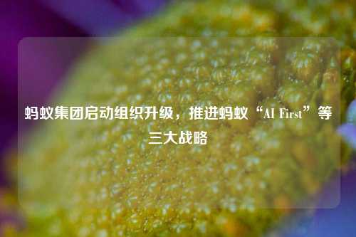 蚂蚁集团启动组织升级，推进蚂蚁“AI First”等三大战略