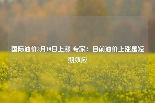 国际油价3月19日上涨 专家：目前油价上涨是短期效应