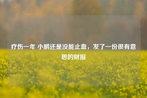 疗伤一年 小鹏还是没能止血，发了一份很有意思的财报