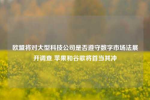 欧盟将对大型科技公司是否遵守数字市场法展开调查 苹果和谷歌将首当其冲