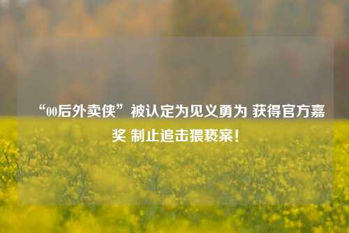 “00后外卖侠”被认定为见义勇为 获得官方嘉奖 制止追击猥亵案！