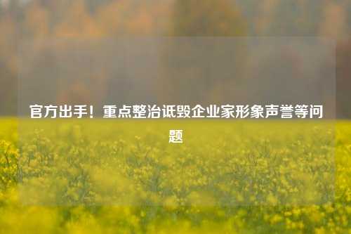 官方出手！重点整治诋毁企业家形象声誉等问题