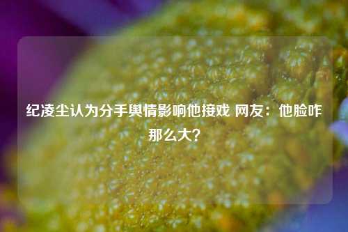 纪凌尘认为分手舆情影响他接戏 网友：他脸咋那么大？