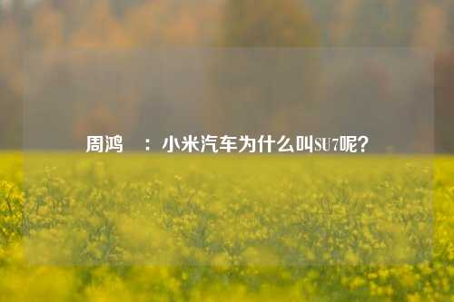 周鸿祎：小米汽车为什么叫SU7呢？