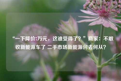 “一下降价7万元，这谁受得了？”商家：不敢收新能源车了 二手市场新能源何去何从？