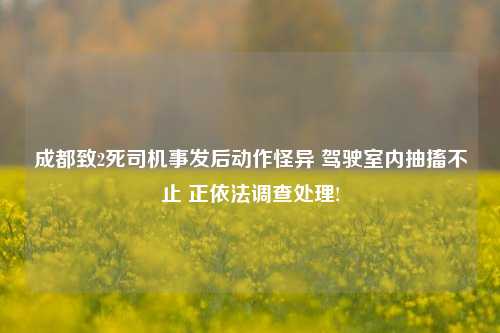 成都致2死司机事发后动作怪异 驾驶室内抽搐不止 正依法调查处理!