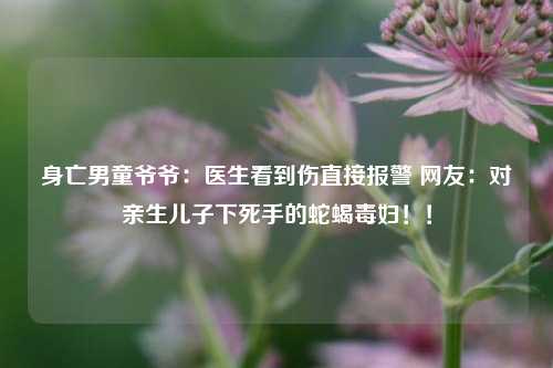 身亡男童爷爷：医生看到伤直接报警 网友：对亲生儿子下死手的蛇蝎毒妇！！