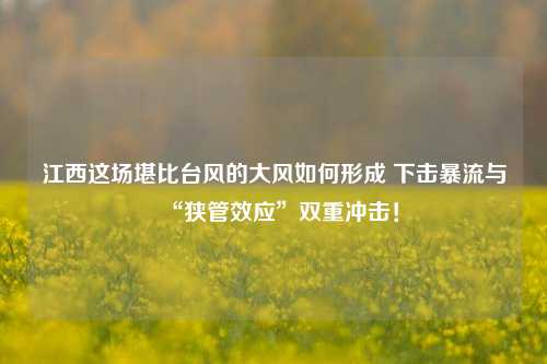 江西这场堪比台风的大风如何形成 下击暴流与“狭管效应”双重冲击！