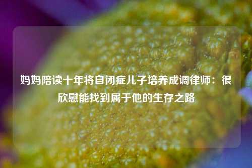 妈妈陪读十年将自闭症儿子培养成调律师：很欣慰能找到属于他的生存之路