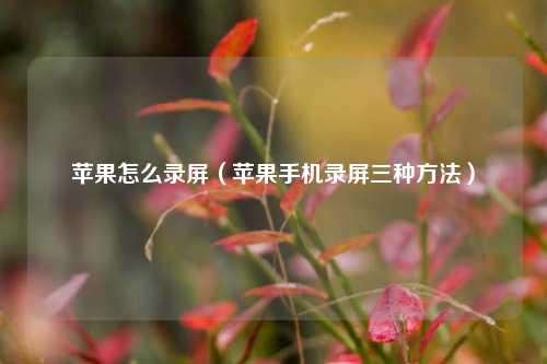 苹果怎么录屏（苹果手机录屏三种方法）