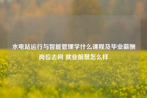 水电站运行与智能管理学什么课程及毕业薪酬岗位去向 就业前景怎么样