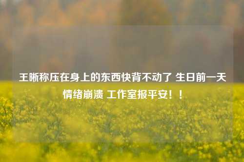 王晰称压在身上的东西快背不动了 生日前一天情绪崩溃 工作室报平安！！