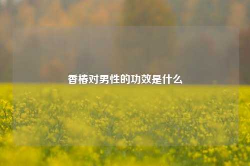 香椿对男性的功效是什么