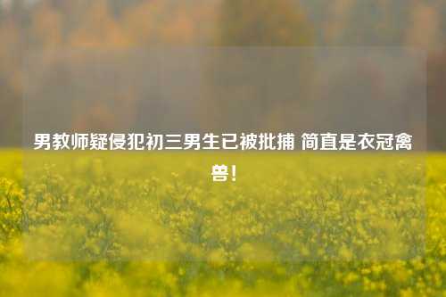 男教师疑侵犯初三男生已被批捕 简直是衣冠禽兽！