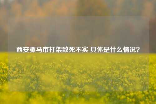 西安骡马市打架致死不实 具体是什么情况？