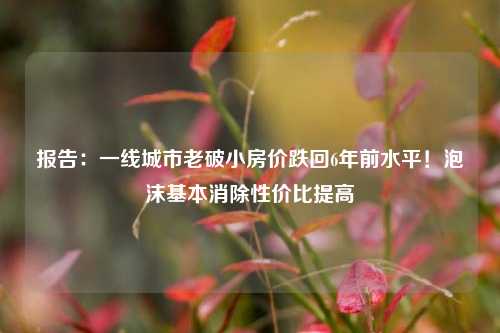 报告：一线城市老破小房价跌回6年前水平！泡沫基本消除性价比提高