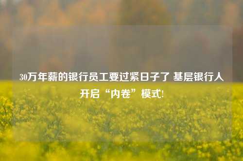 30万年薪的银行员工要过紧日子了 基层银行人开启“内卷”模式!