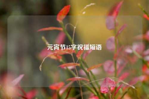 元宵节15字祝福短语