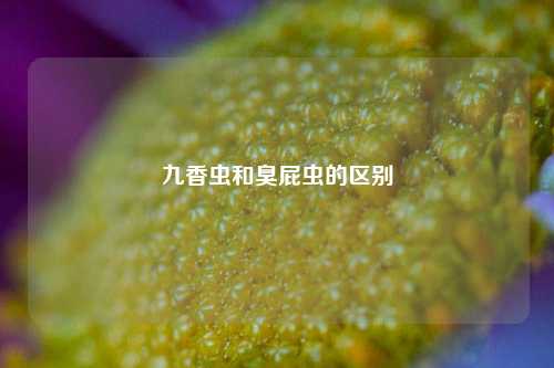 九香虫和臭屁虫的区别