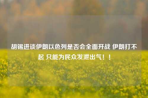 胡锡进谈伊朗以色列是否会全面开战 伊朗打不起 只能为民众发泄出气！！