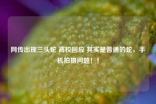 网传出现三头蛇 高校回应 其实是普通的蛇，手机拍摄问题！！