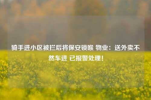 骑手进小区被拦后将保安锁喉 物业：送外卖不然车进 已报警处理！