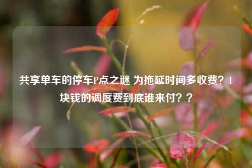 共享单车的停车P点之谜 为拖延时间多收费？1块钱的调度费到底谁来付？？