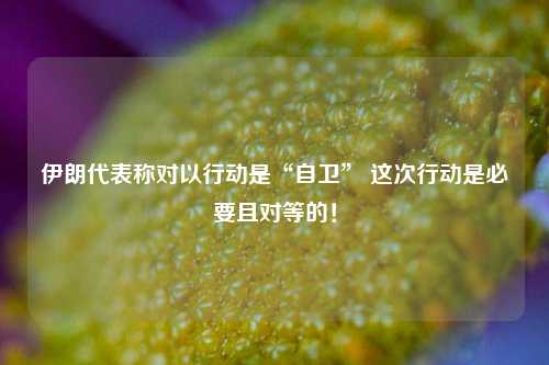 伊朗代表称对以行动是“自卫” 这次行动是必要且对等的！