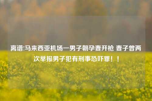 离谱!马来西亚机场一男子朝孕妻开枪 妻子曾两次举报男子犯有刑事恐吓罪！！