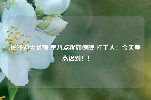 长沙迎大暴雨 早八点犹如傍晚 打工人：今天差点迟到！！