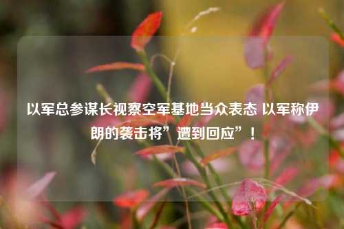 以军总参谋长视察空军基地当众表态 以军称伊朗的袭击将”遭到回应”！