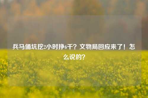 兵马俑坑挖2小时挣6千？文物局回应来了！怎么说的？