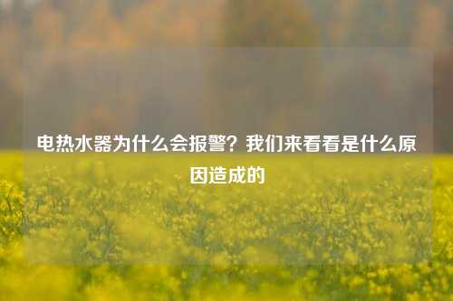 电热水器为什么会报警？我们来看看是什么原因造成的