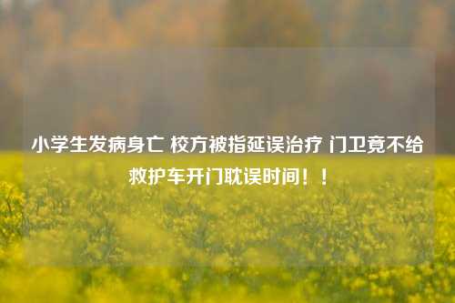 小学生发病身亡 校方被指延误治疗 门卫竟不给救护车开门耽误时间！！