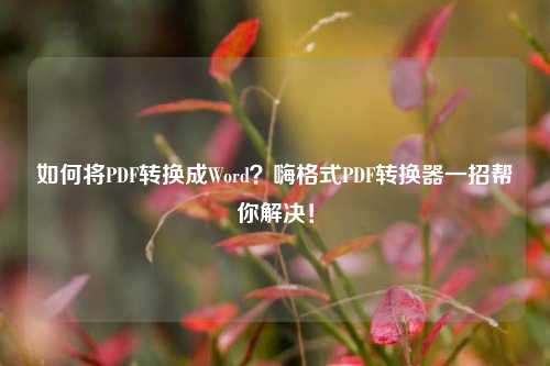 如何将PDF转换成Word？嗨格式PDF转换器一招帮你解决！