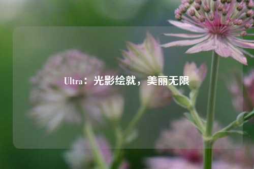 Ultra：光影绘就，美丽无限