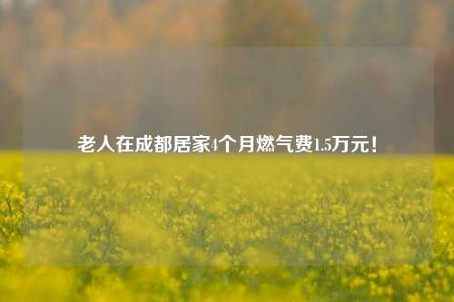 老人在成都居家4个月燃气费1.5万元！