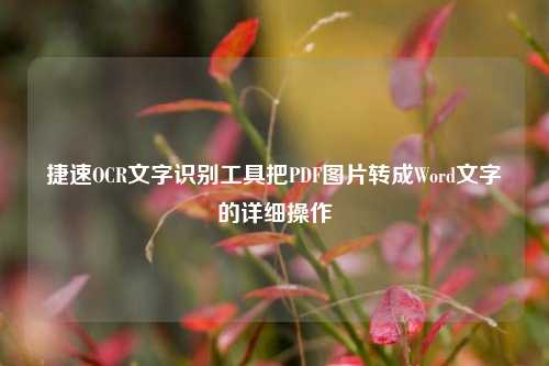 捷速OCR文字识别工具把PDF图片转成Word文字的详细操作