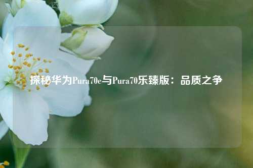 探秘华为Pura70e与Pura70乐臻版：品质之争