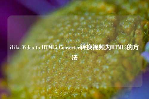 iLike Video to HTML5 Converter转换视频为HTML5的方法