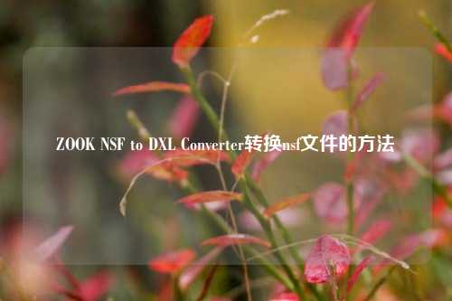 ZOOK NSF to DXL Converter转换nsf文件的方法