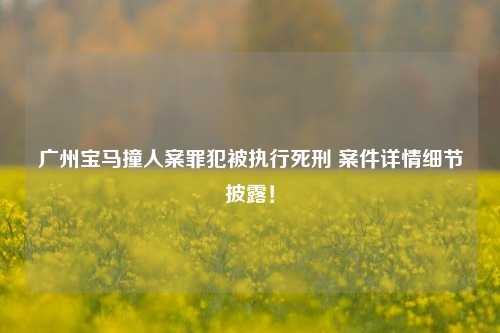 广州宝马撞人案罪犯被执行死刑 案件详情细节披露！