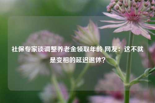 社保专家谈调整养老金领取年龄 网友：这不就是变相的延迟退休？