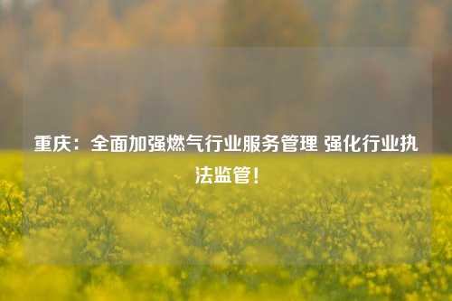 重庆：全面加强燃气行业服务管理 强化行业执法监管！