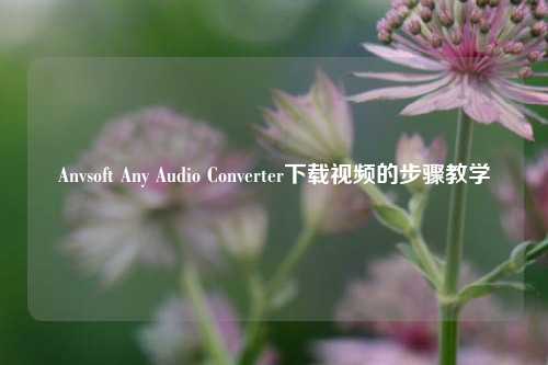 Anvsoft Any Audio Converter下载视频的步骤教学