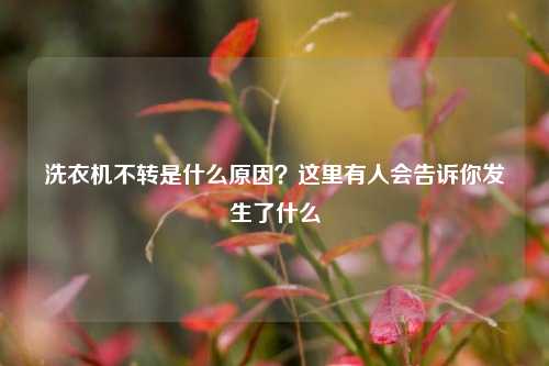 洗衣机不转是什么原因？这里有人会告诉你发生了什么